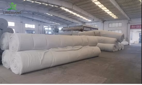 Productos de movimiento de tierras Poliéster PP Membrana Geotextil Filtro Tela Precio