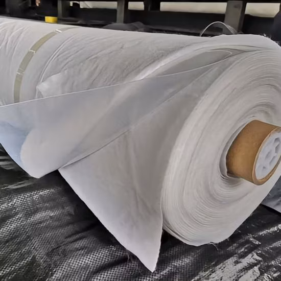 Geomembrana impermeable de HDPE, lámina de revestimiento de estanque de agua de plástico/membrana impermeabilizante de polietileno/geocompuesto de drenaje