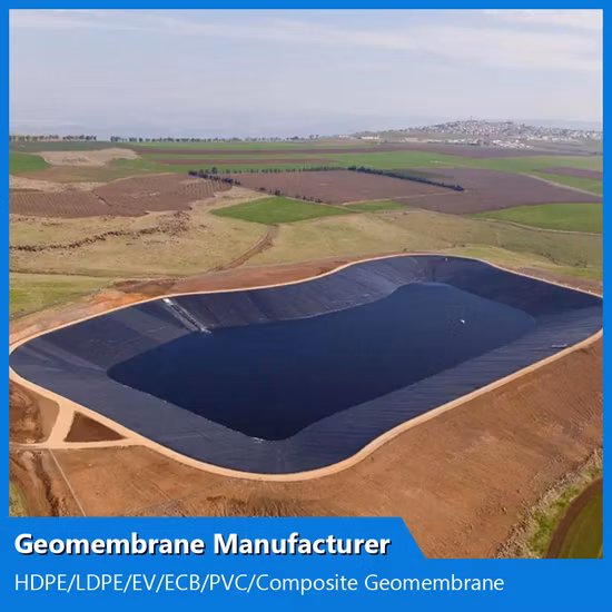 HDPE/LDPE/PE/EV/BCE/PVC texturizado/fabricante de geomembranas compuestas personalizadas para acuicultura/piscifactoría/camarones/estanques/presas/vertederos/minería/sal/revestimiento de relaves