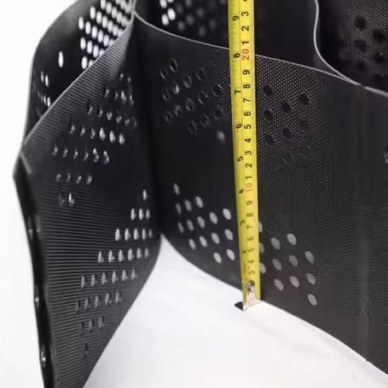 Geocelda de HDPE de plástico de alta calidad