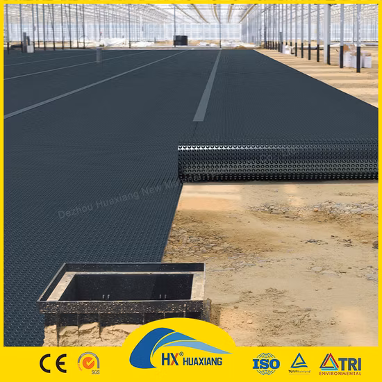 0,2 mm/0,5 mm/1,0 mm/2,0 mm Revestimiento de lámina de plástico negro CE/ASTM Viring Geomembrana de HDPE impermeabilizante para agricultura/presa/vertedero/lago/biogás/proyecto de acuicultura