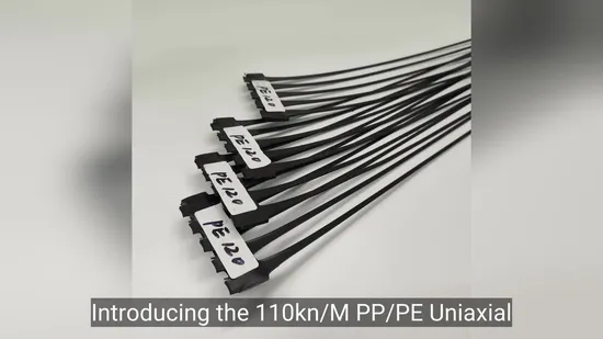 Nuevos materiales de Chuangwan Geomalla para mascotas recubierta de polímero uniaxial soldada de 30 kn